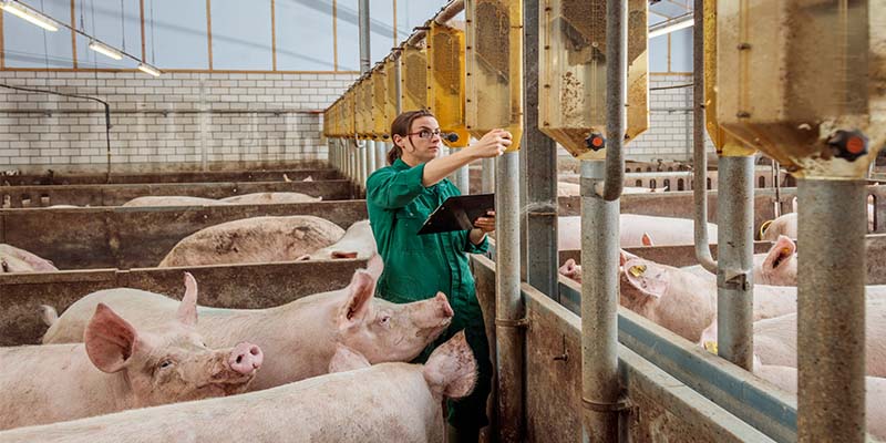 Negocios: Periodista Manuel Flores