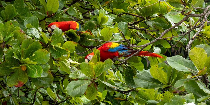 Nacionales: Periodista Manuel Flores